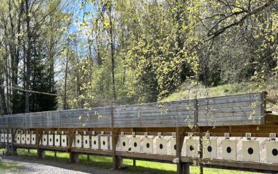 Inbjudan till Håtunaleken 2026